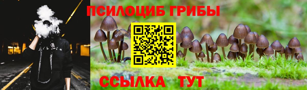 Псилоцибиновые грибы мицелий Назрань