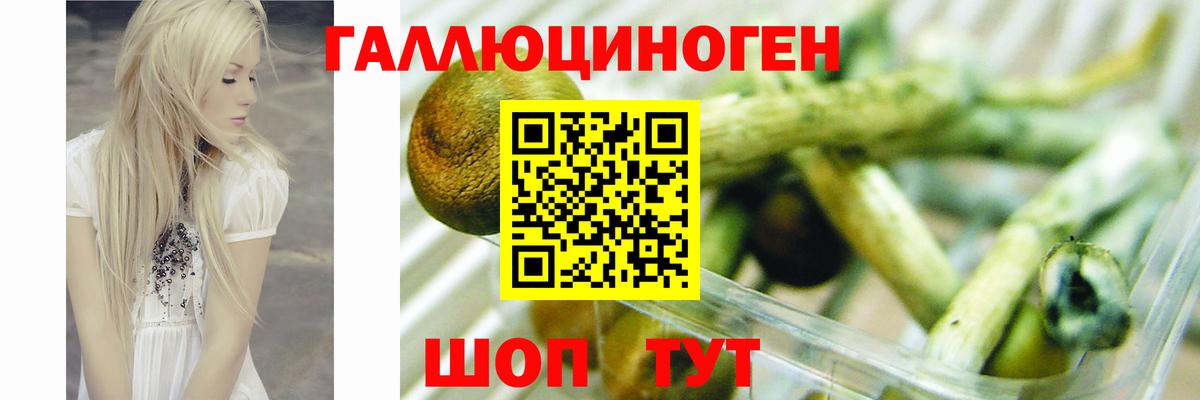 Назрань  Псилоцибиновые грибы ЛСД  Вход с VPN 